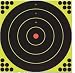Birchwood Casey Shoot-N-C Bullseye Targets, 12, 5 Targets + 120 Pasters