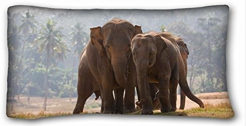 Custom Pillow Case Animals Elephants nature Africa 20"*36" One Side