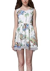 Floral Print Sleeveless Organza Skater Dress 