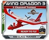 Wing Dragon III - RC Beginner Plane