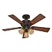 Hunter Fans 20438 42" The Beacon Hill Traditional Indoor New Bronze Ceiling Fan w/ Light & Blades