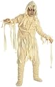Rubies Costume Universal Studios Monsters Child's Mummy Costume, Large