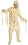 Universal Studios Monsters Child's Mummy Costume, Large
