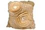 db Sources Double Flower 20-Inch-by-20-Inch Decorative Pillow