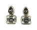 Black Diamond & Silver Shade Crystal Earring