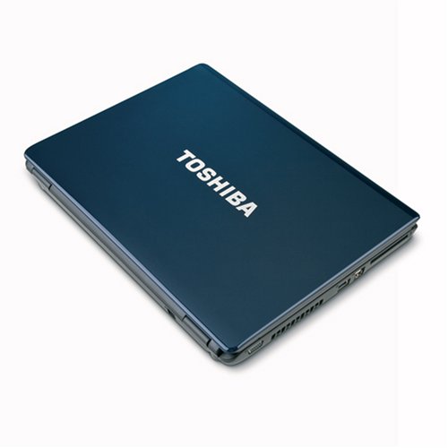 Toshiba Satellite L305D-S5874 15.4