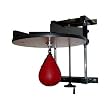 Valor CA-2 Speed Bag Platform with Bag