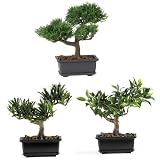 41LmeP6mRGL. SL160  Nearly Natural 7 Areca Palm Silk Tree Reviews