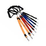 EZ Steps Big Dog Control Shock Absorbing Coupler Leash for Walking Two Dog up to 400 lbs. Combined Weight - Red