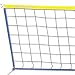 Wallyball Net
