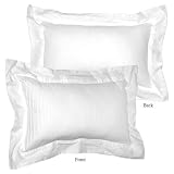 Review Other Major Designers  / Sonoma Life Style Shasta Decorator Pillow