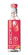 Activate Drinks Workout Pink Grapefruit, 16-Ounce Bottles (Pack of 12)