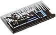 Gerrit's Extreme Ice Sugar Free Black Licorice Chewing Gum, 12-Piece Packages (Pack of 12)