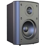 Audiosource LS425 4-Inch 2-Way Indoor/Outdoor 100 Watt Speaker (Black)