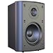 Audiosource LS425 4-Inch 2-Way Indoor/Outdoor 100 Watt Speaker (Black)