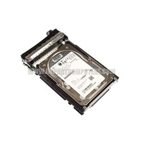 A0664813 300GB 10, 025 RPM Enterprise SCSI Internal Hard Drive for Dell by 