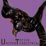 Unidentified Terrestrial
