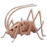 Cricket 3D Kit