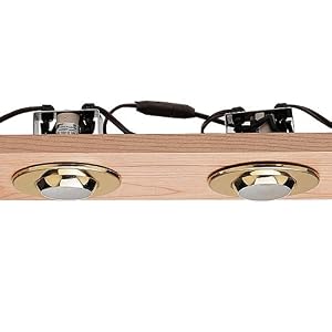 Master Incandescent Swivel Canister Light by Rockler
