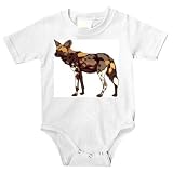 Baby clothes with pack, wild, zoo, endangered, captivity, hyenhund, mammal, cape hunting dog, African, nomadic, animal, species, dog, predator, canine 41LnK 1eK9L. SL160 Baby clothes with pack, wild, zoo, endangered, captivity, hyenhund, mammal, cape hunting dog, African, nomadic, animal, species, dog, predator, canine