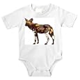 Onesie with pack, wild, zoo, endangered, captivity, hyenhund, mammal, "cape hunting dog", African, nomadic, animal, species, dog, predator, canine