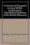 A revision of the genus Canaea Walker (Lepidoptera, Thyrididae)