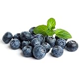 Frozen Organic Blueberries 4.5 Lbs
