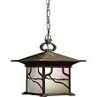 Kichler Decorative Vine 13" High Hanging Outdoor Light