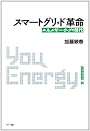 スマートグリッド革命――エネルギー・ウェブの時代