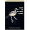 Bird & Wildlife Guides to Africa