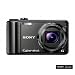 41LoCZD9NpL. SL75  You Cannot Go Wrong With Sony Camera Batteries