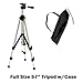 Canon DC410 DVD Camcorder + Accessory Kit image 1