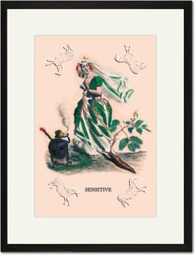 Black Framed Matted Print 17x23 - Sensitive