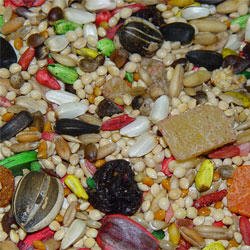 Higgins Nederlands Vita Seed Bird Seed for Cockatiels 25-lb bag