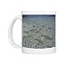 Black-tip / Blacktip Reef sharks - young sharks stay in the safety of very Photo Mugs