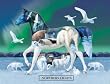 Northern Lights Jigsaw Puzzle 1000 Piece