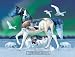 Northern Lights Jigsaw Puzzle 1000 Piece