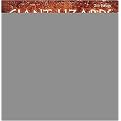 Giant Lizards (The Definitive Guide to the Natural History, Care, and Breeding of Monitors, Iguanas, Tegus, and Other Large Lizards) (Hardcover)