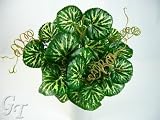Review   / 33cm Artificial Silk Foliage Strawberry Begonia Leaf Bush from GT Decorations