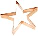 Old River Road Star Shape Cookie Cutter, Copper