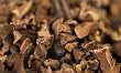 Pralus Cocoa Nibs By ChefShop