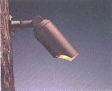 Kichler spot light archtctrl bronze with 50w light