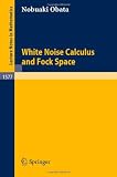 White Noise Calculus and Fock Space (Lecture Notes in Mathematics)