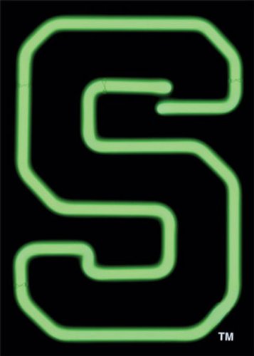 Michigan State Spartans Neon Sign