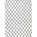 Katzenschutznetz Katzennetz Balkonnetz Netz 2x 10m