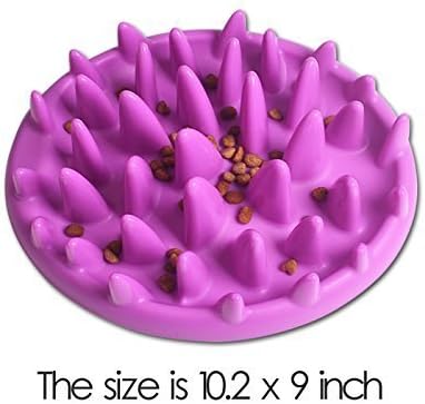 MeowWoof Interactive Slow Pet Feeder