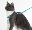 Guardian Gear Nylon Cat Harness and Matching 4' Lead (Red)
