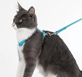 Guardian Gear Nylon Cat Harness and Matching 4' Lead (Red)