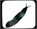 Decorated Mouse Pad with mollusc, slimy, slug, skogssnigel, invertebrate, animal