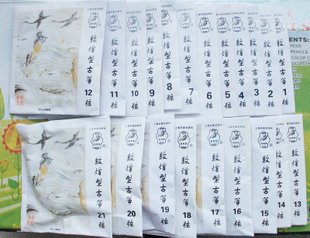 Professional Guzheng String Set #1-21 German Wire